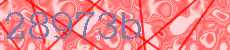 28973b